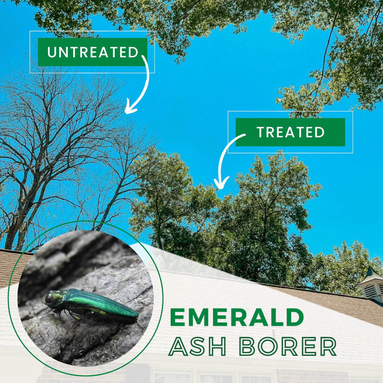 293984426 140386405290149 2785131277847982222 N